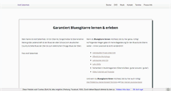 Desktop Screenshot of andisaitenhieb.de